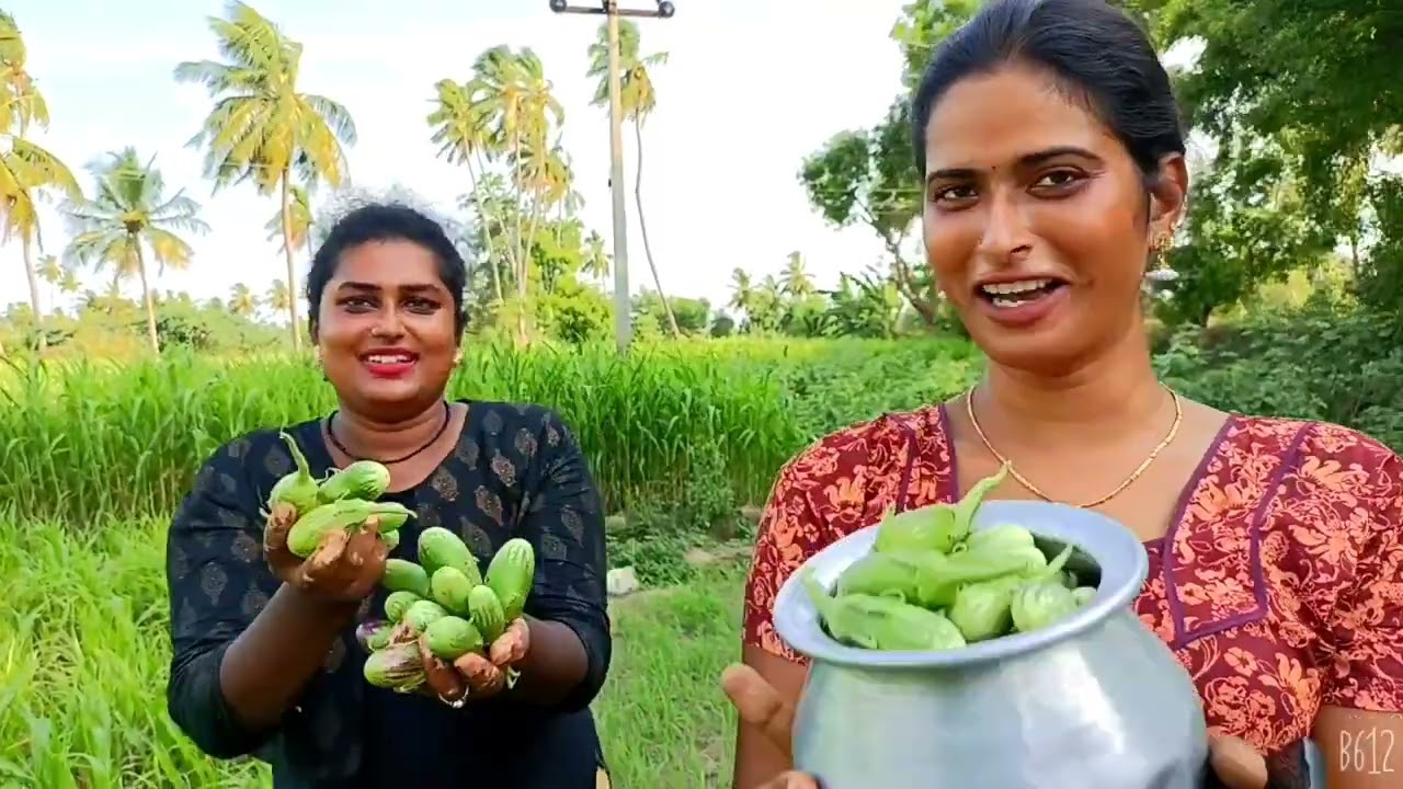 தொட்டியம் பகுதி பரிமளா வீட்டில் தோட்டசமையளுக்காக காய்கறி சிக்கன் சமையல் #kovaimeera #kovaimeerafamiy