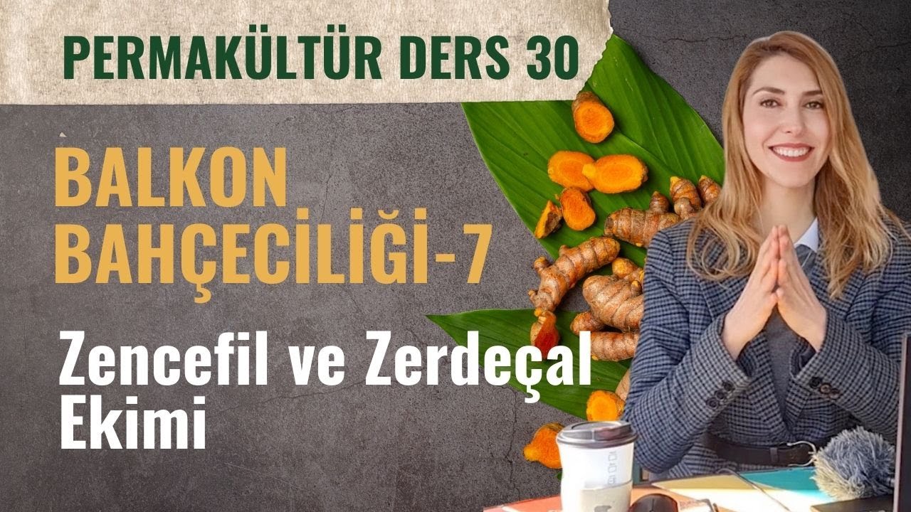 🪴ÜCRETSİZ PERMAKÜLTÜR DERSİ 30 | Balkon Bahçeciliği: Zencefil ve Zerdeçal Ekimi