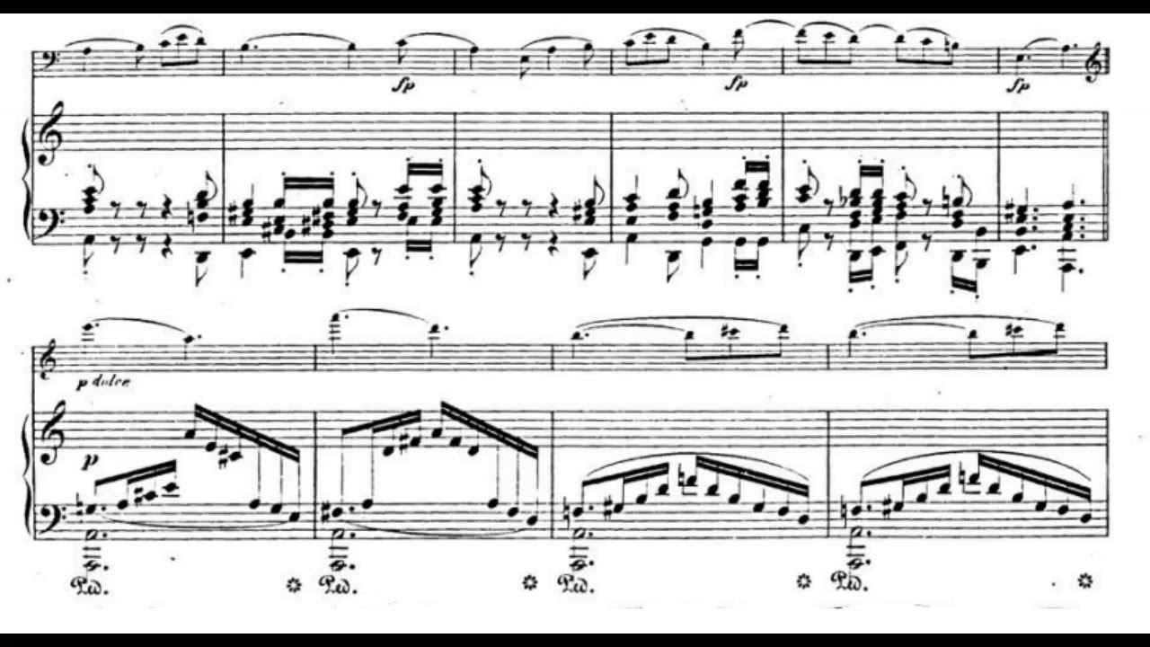 Schumann - Five Pieces in Folk Style, Op. 102 (Capuçon, Argerich)