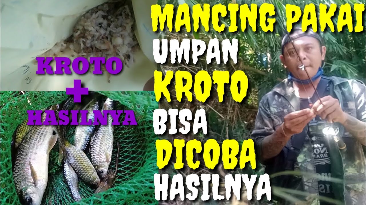 TES MANCING PAKAI UMPAN KROTO