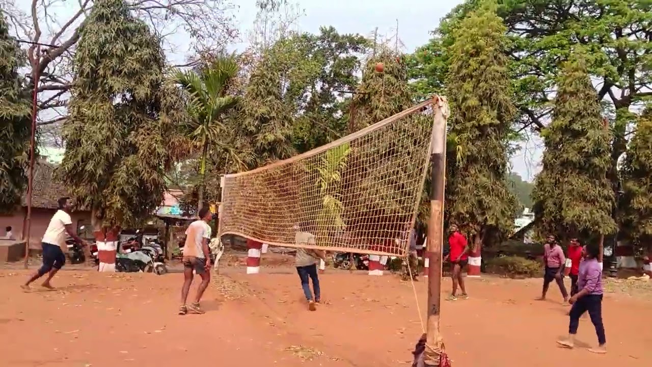 Volleyball wise