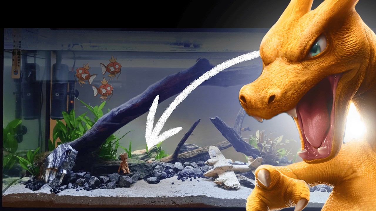 Spending money on my Charizard-inspired fish tank