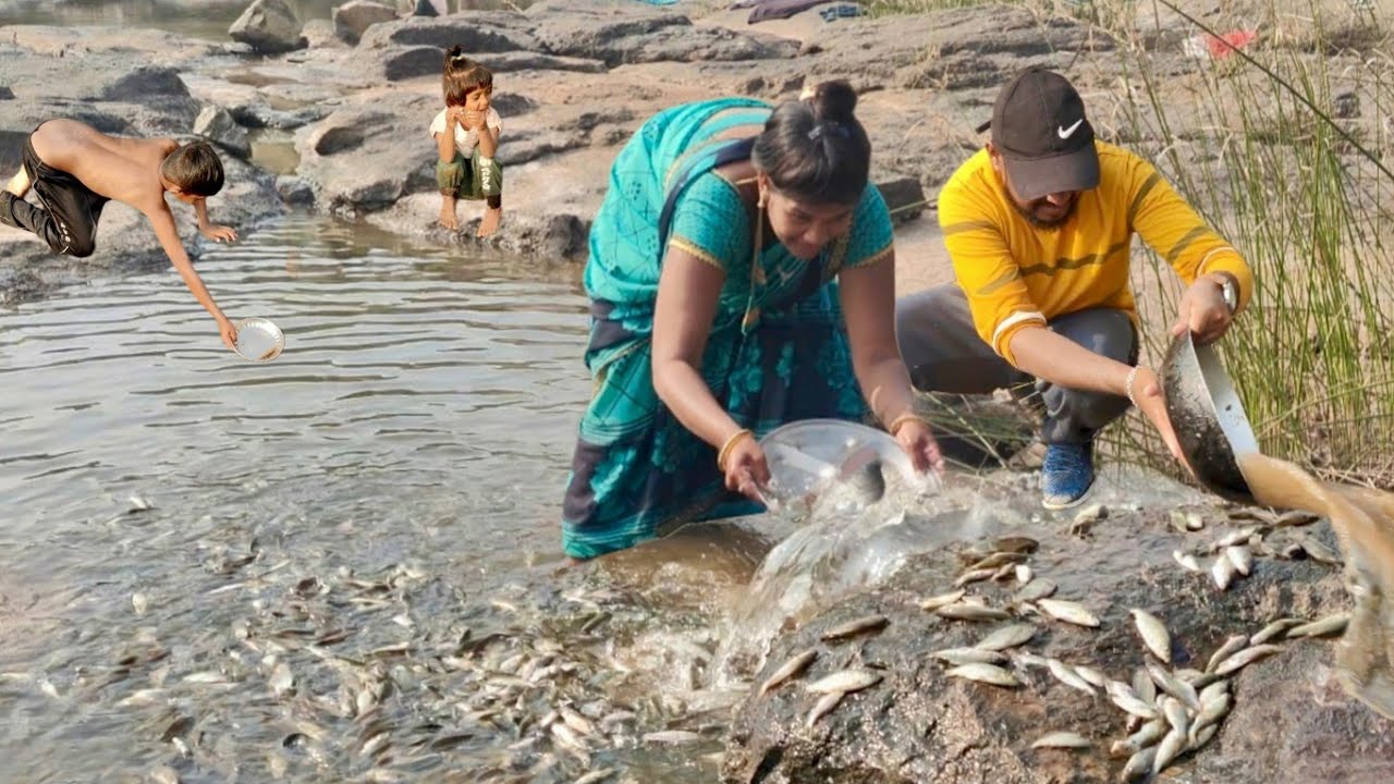 मासे पकडण्याची खरी मज्जा हीच..🤗 डोह उपसून पकडले मासे🎣, नदीवर बनवलं कालवण 😋.| Traditional fishing.