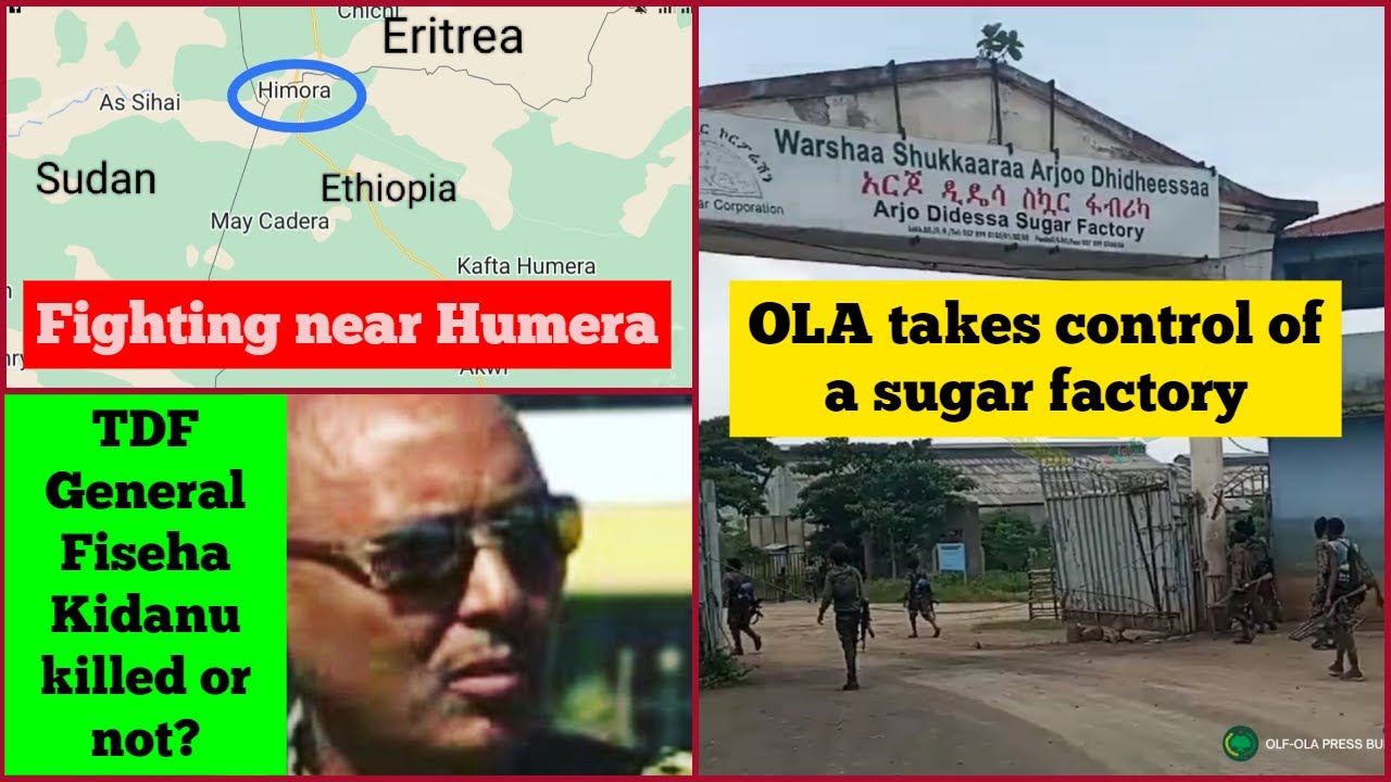 Fighting near Humera town | TDF General Fiseha Kidanu | OLA takes control of a sugar factory