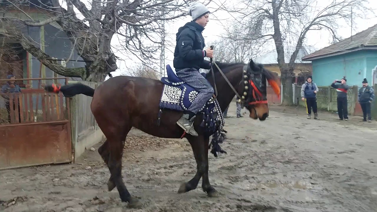 Plugusorul din Teleorman (Conțesti)