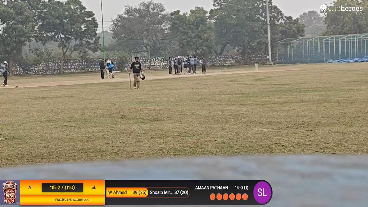 Ans Tigers vs Sky Loads live cricket match |  live - Achivers cricket ground 8178254415 New Delhi