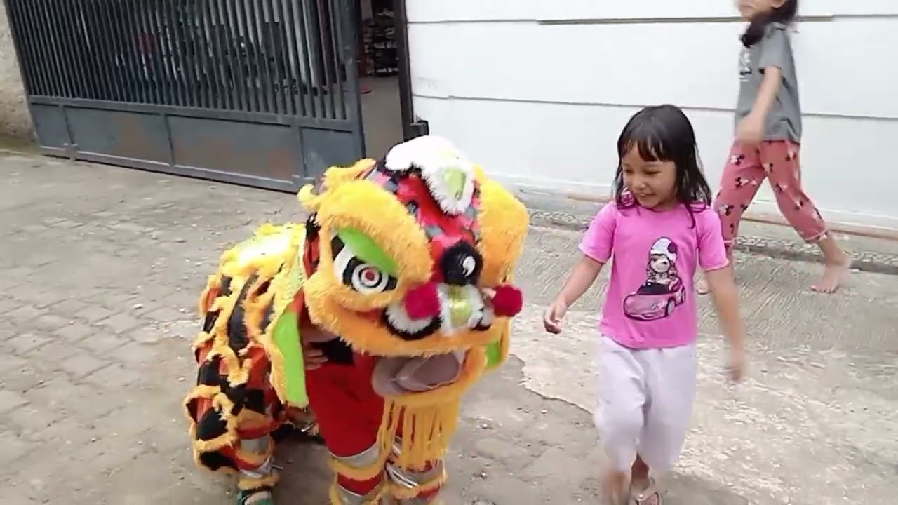 Ada Barongsai cilik