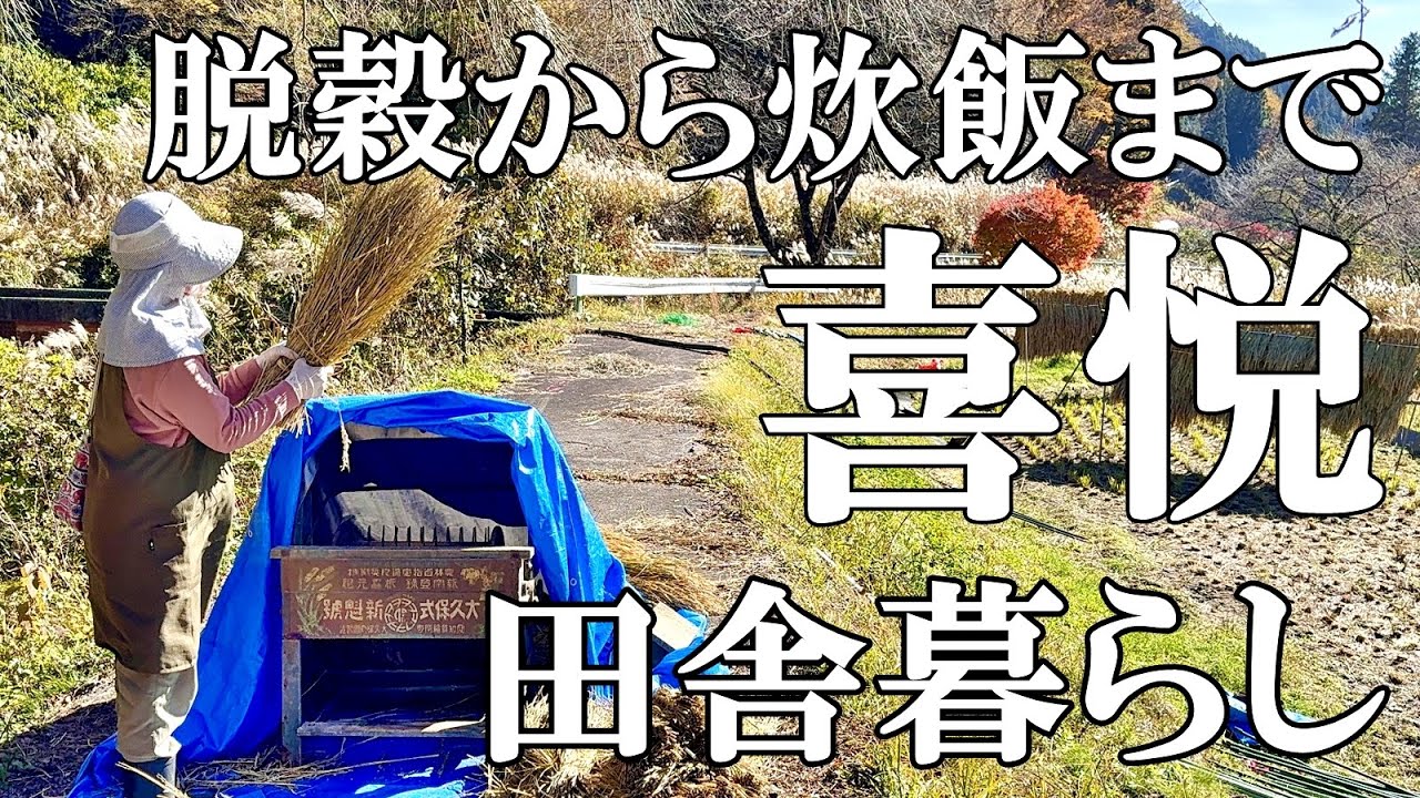 【初めての米作り】足踏み脱穀と唐箕(とうみ)かけ 籾すりと精米 はざかけ米で塩むすび！ まったり猫のふみふみ  自然豊かな山奥暮らしの日々｜村暮らし｜移住｜料理【標高800mの田舎暮らし】