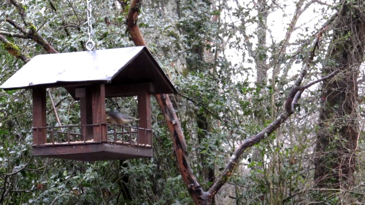 OBSERVATORIOS de AVES por M.Toni