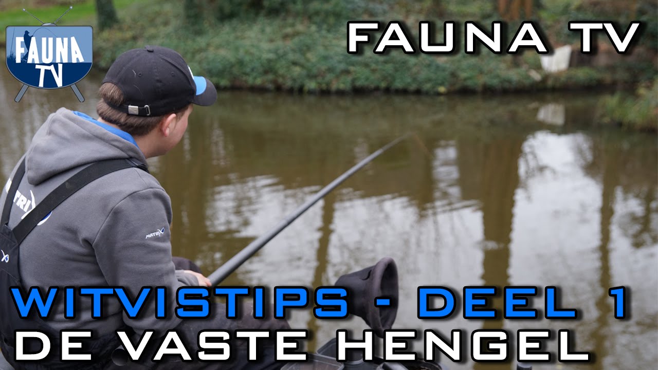 Fauna TV - Witvistips deel 1 (vaste hengel)