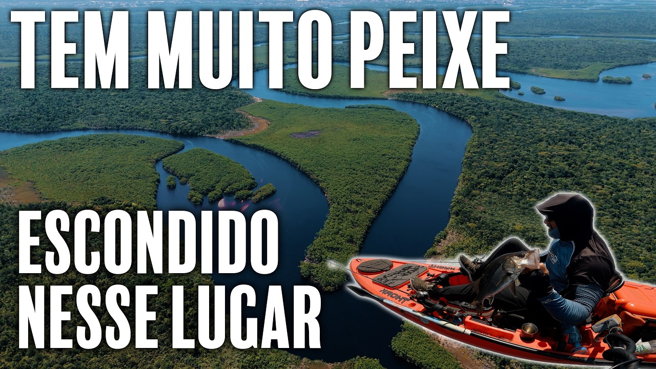 ESSE LUGA ESCONDE MUITOS GIGANTES - PESCARIA DE ROBALOS #fishing #pesca #pescaria #robalo #caiaque
