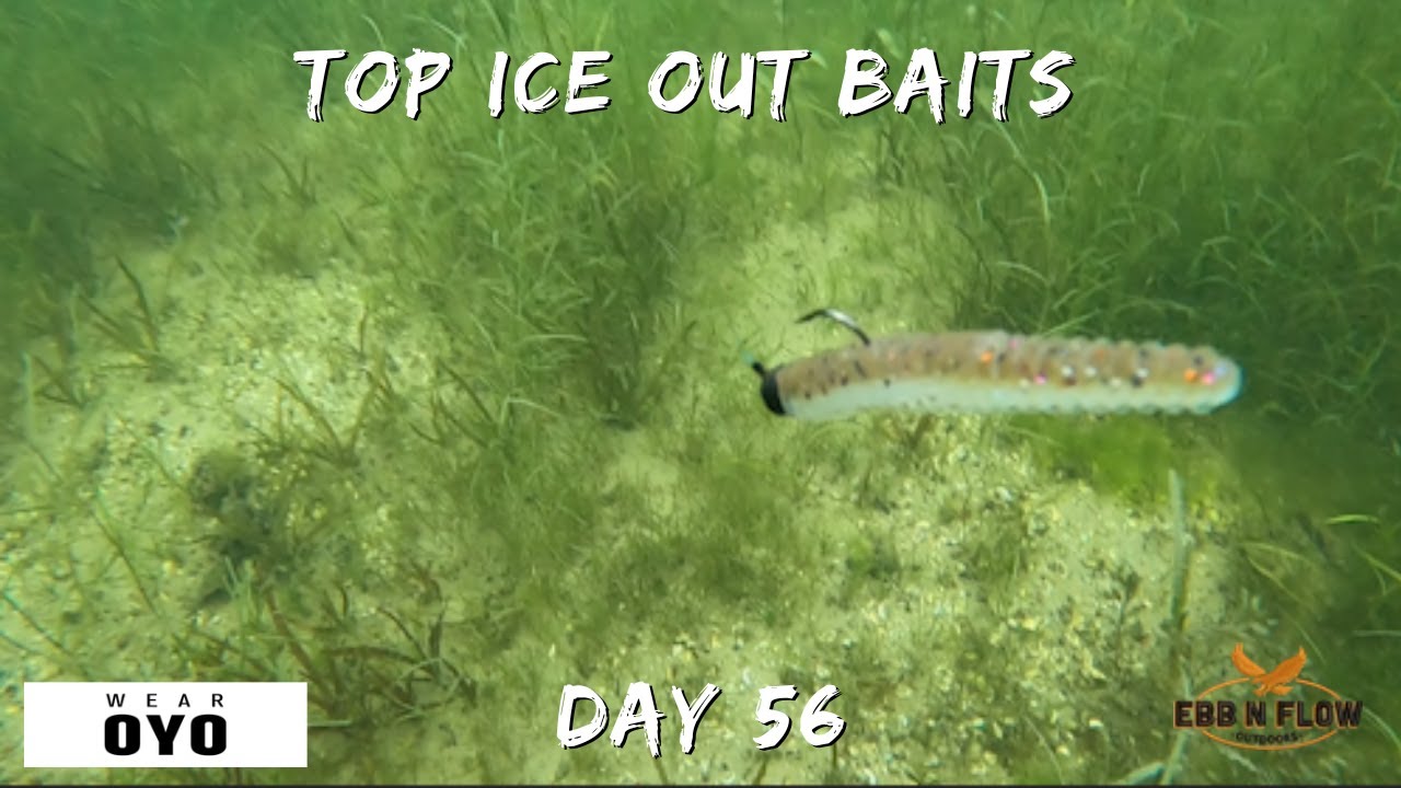The BEST 3 Baits to Catch BIG Bass After Ice Out (Early Spring Fishing)
