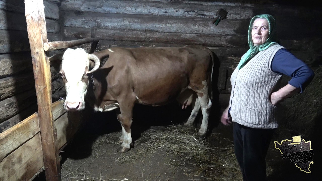 Ko nema dobru djecu i para  nije pristo ni u bolnicu