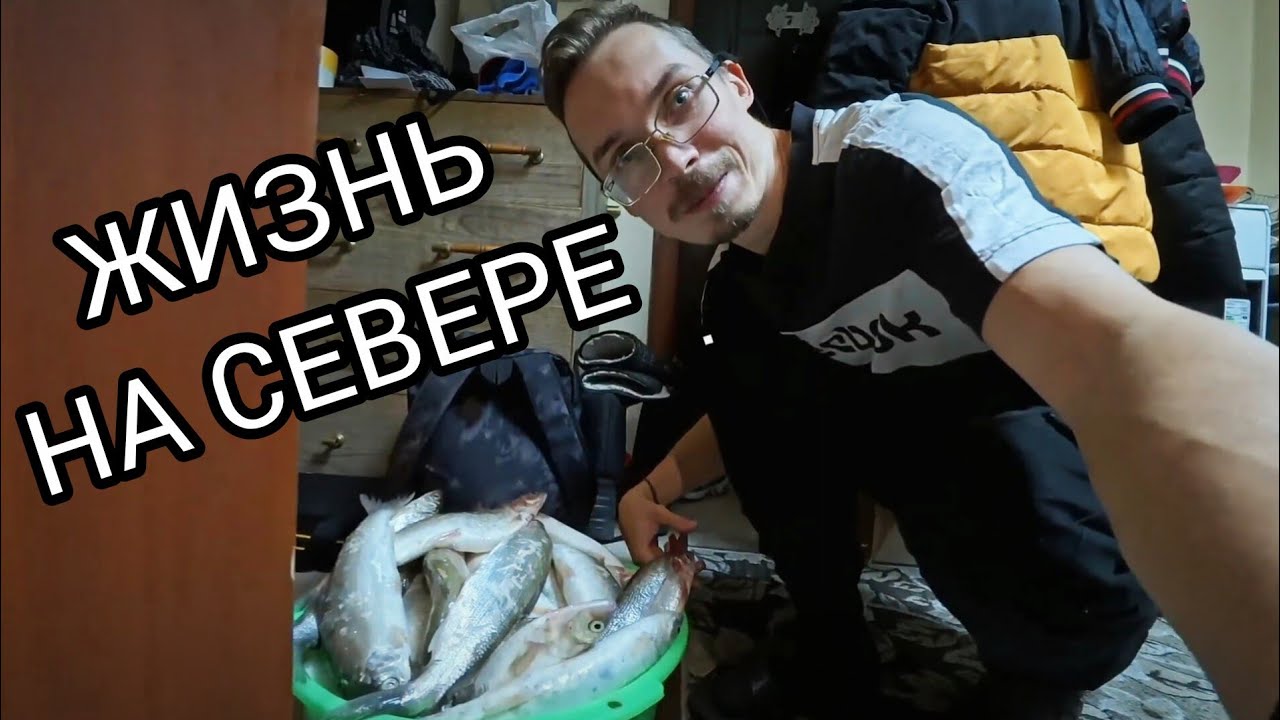 УДАЧНАЯ ЗАКУПКА. ЖАРЮ И ЕМ РЫБУ 