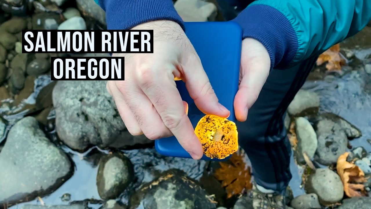 Discovering Salmon River Oregon