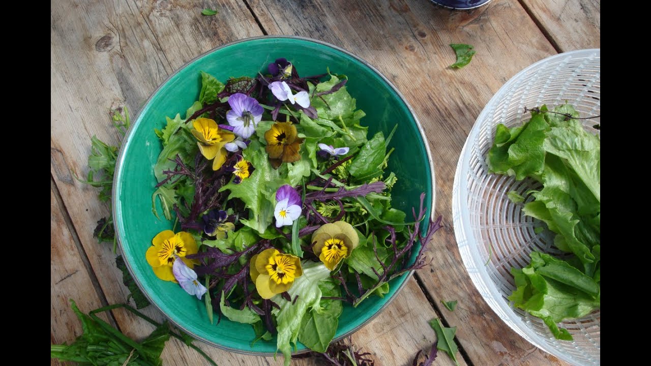 Making simple organic salad with edible flowers