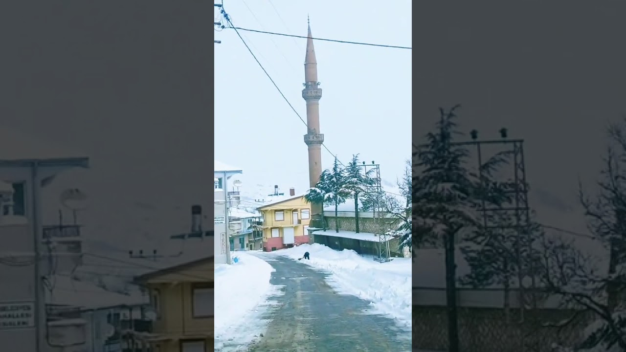 Amaratın kışları