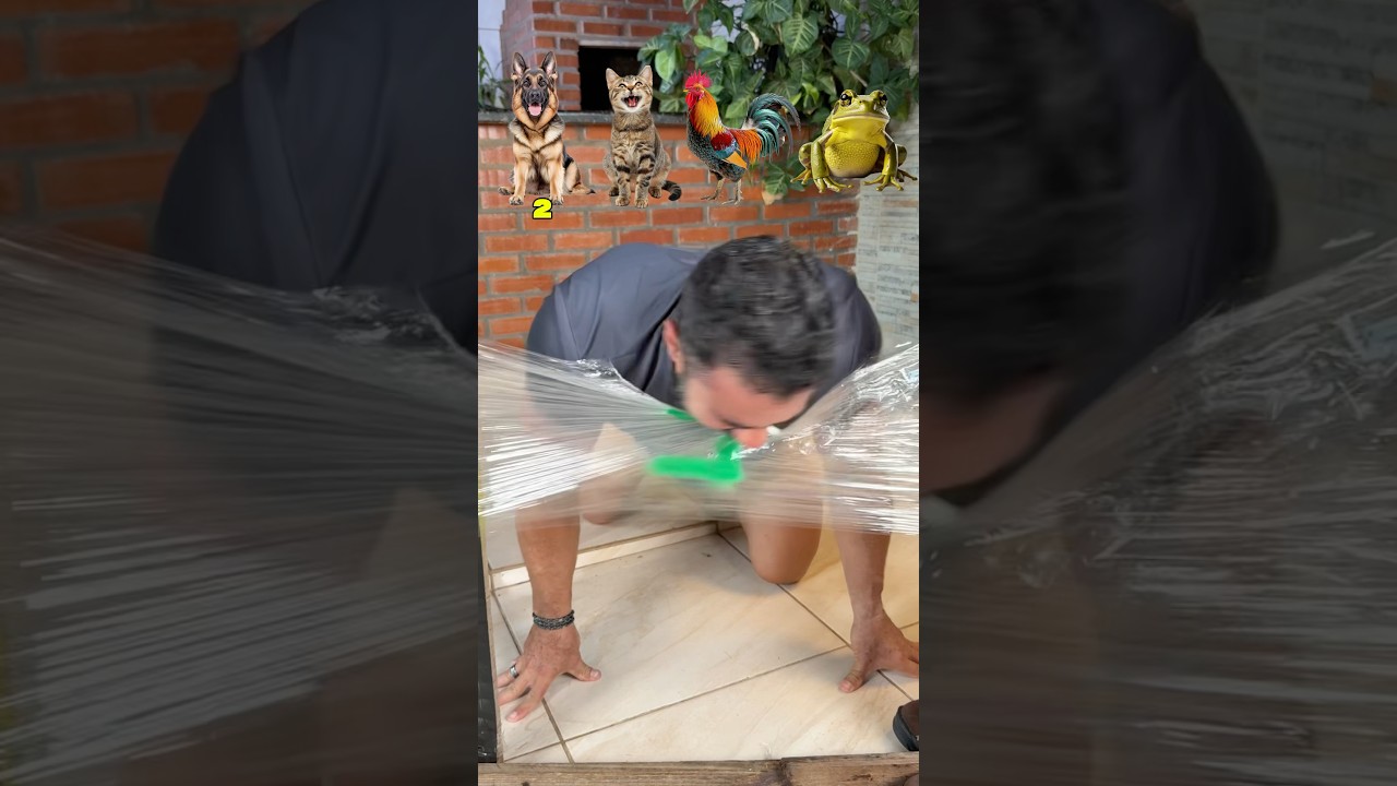 Qual animal bravo vai quebrar a parede?!😱 #shorts #challenge