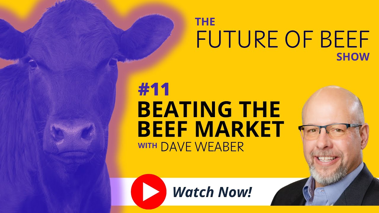 11: Beating the Cattle Markets with Dave Weaber