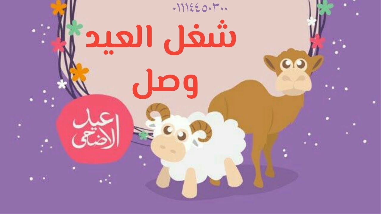 عطر | عيد الاضحي | المناسب للجنسين | تركيب العطور | ميكس عطور (بحيري للعطور)