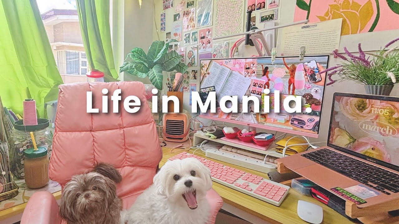 LIFE IN MANILA 💌 Freelancer life, the story of how I got my two dogs, home vlogs • Loren Dimaano