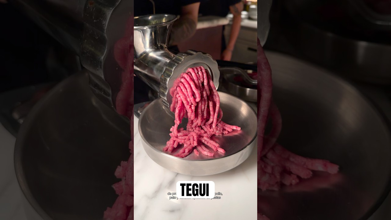 TEGUI