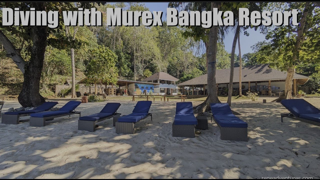 Diving with Murex Bangka, in North Sulawesi, Indonesia, Sept 2025