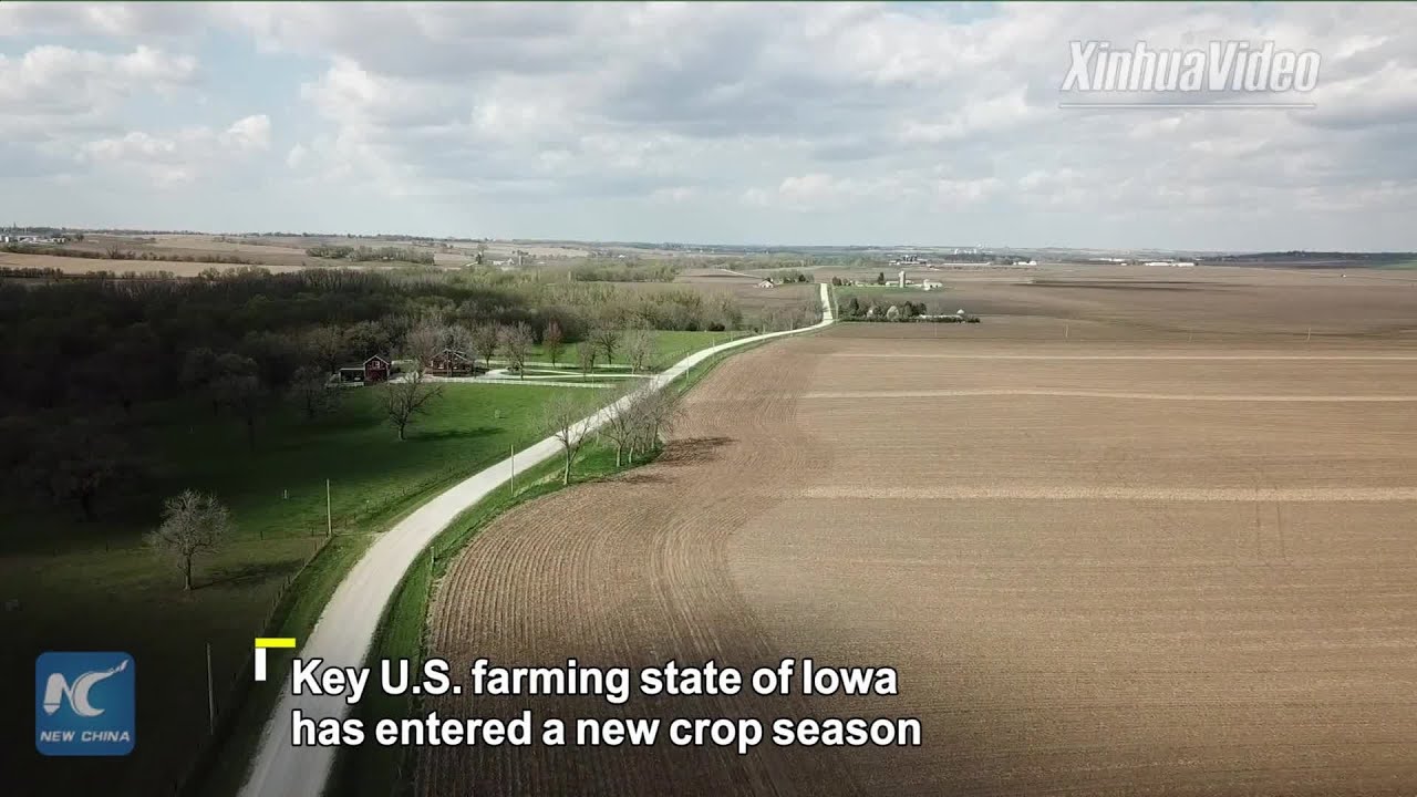 Trade disruption with China doesn't help our markets: US agriculture officials