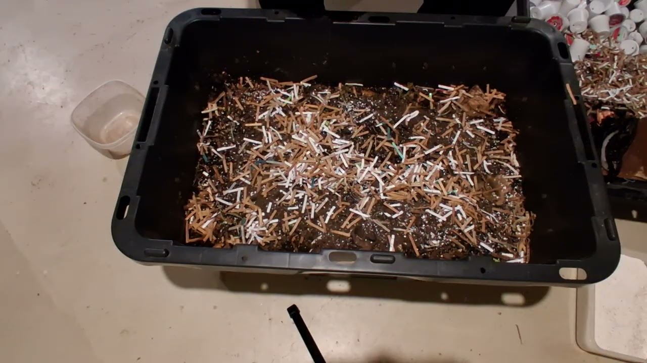 What i do to keep my 2+ year old soil not just healthy, but supercharged. Let's 🪱!