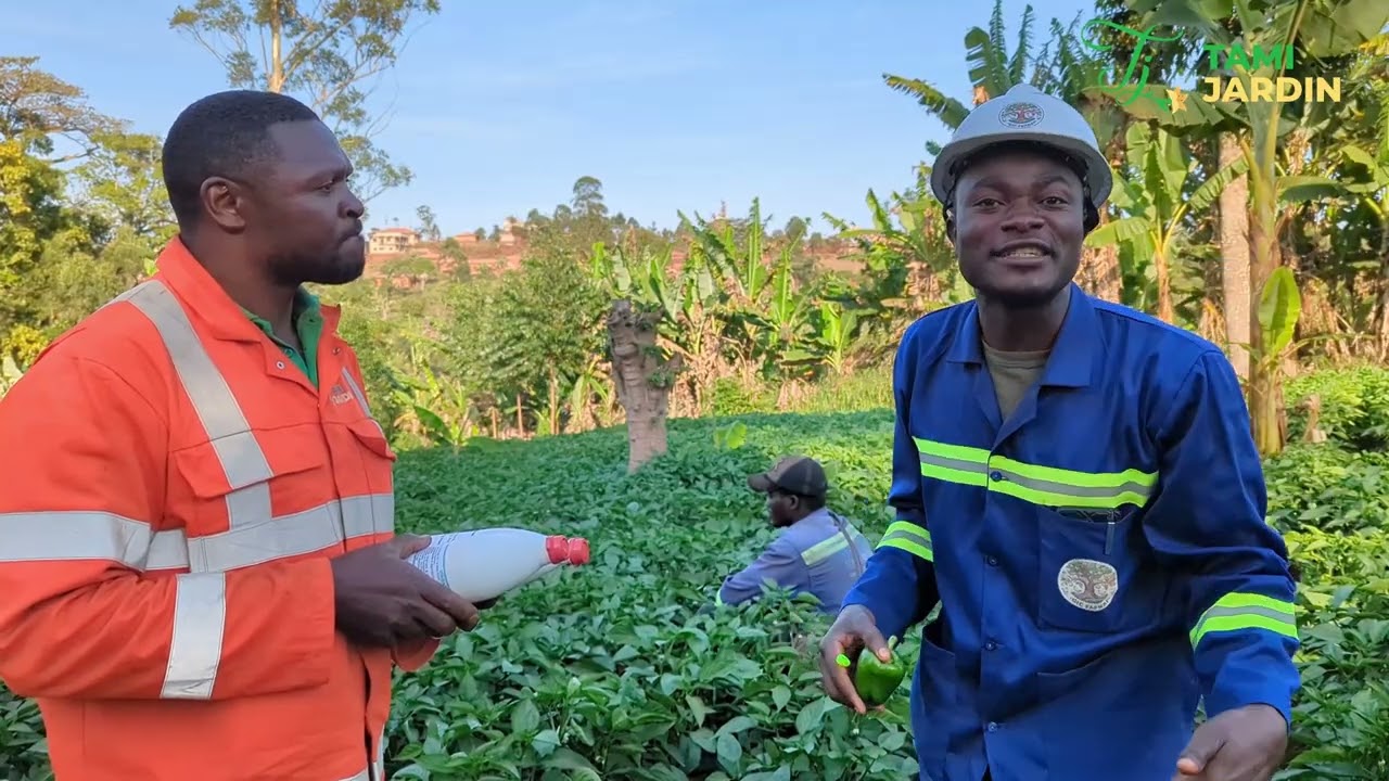 Incroyable! Il fait peur aux fabricants des intrants agricoles chimiques 