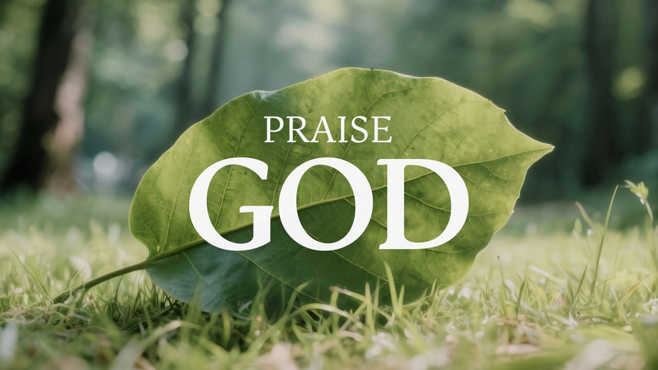PRAISE GOD 🤍 Soaking worship | Prayer and Devotional Instrumental Piano