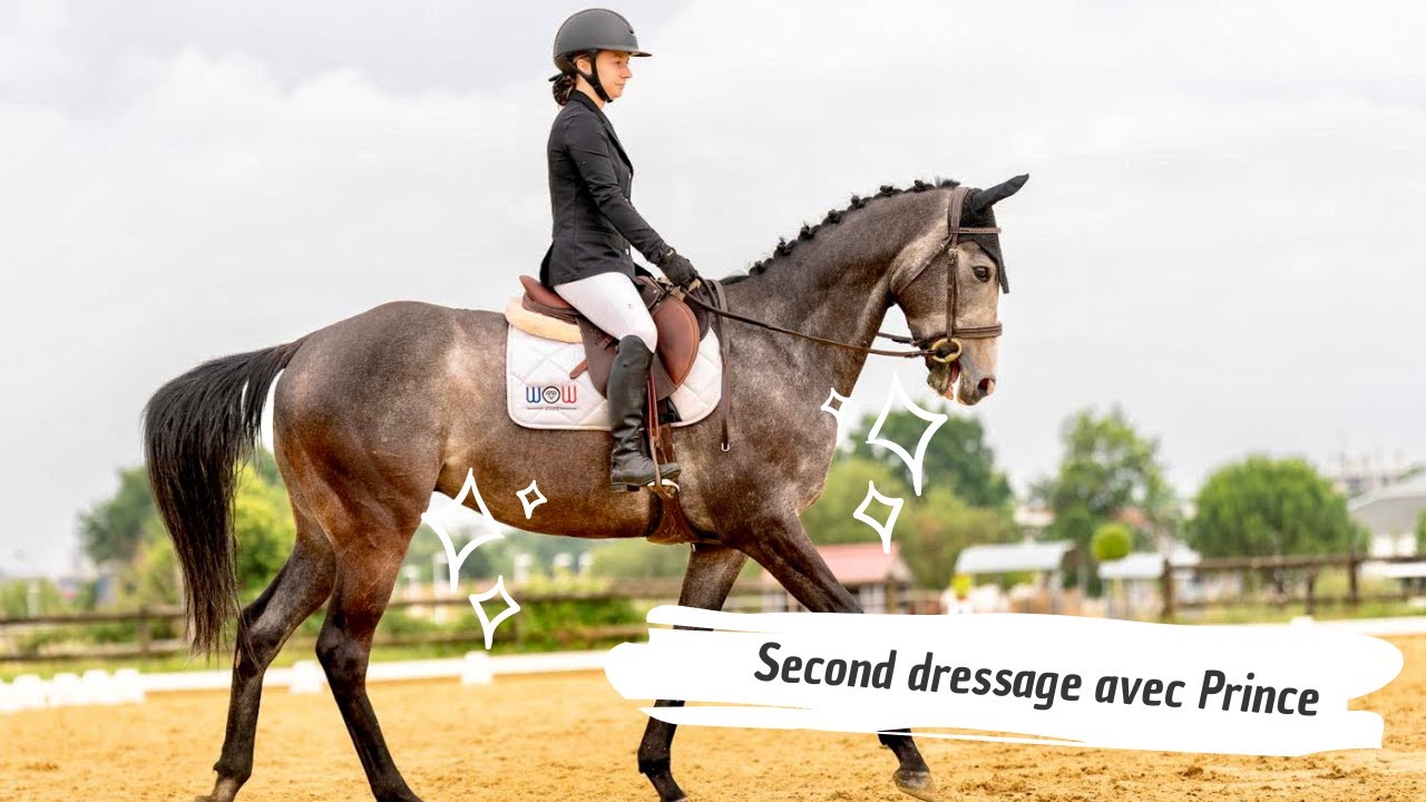 Dressage Villenave d'Ornon avec Prince en amateur 3B