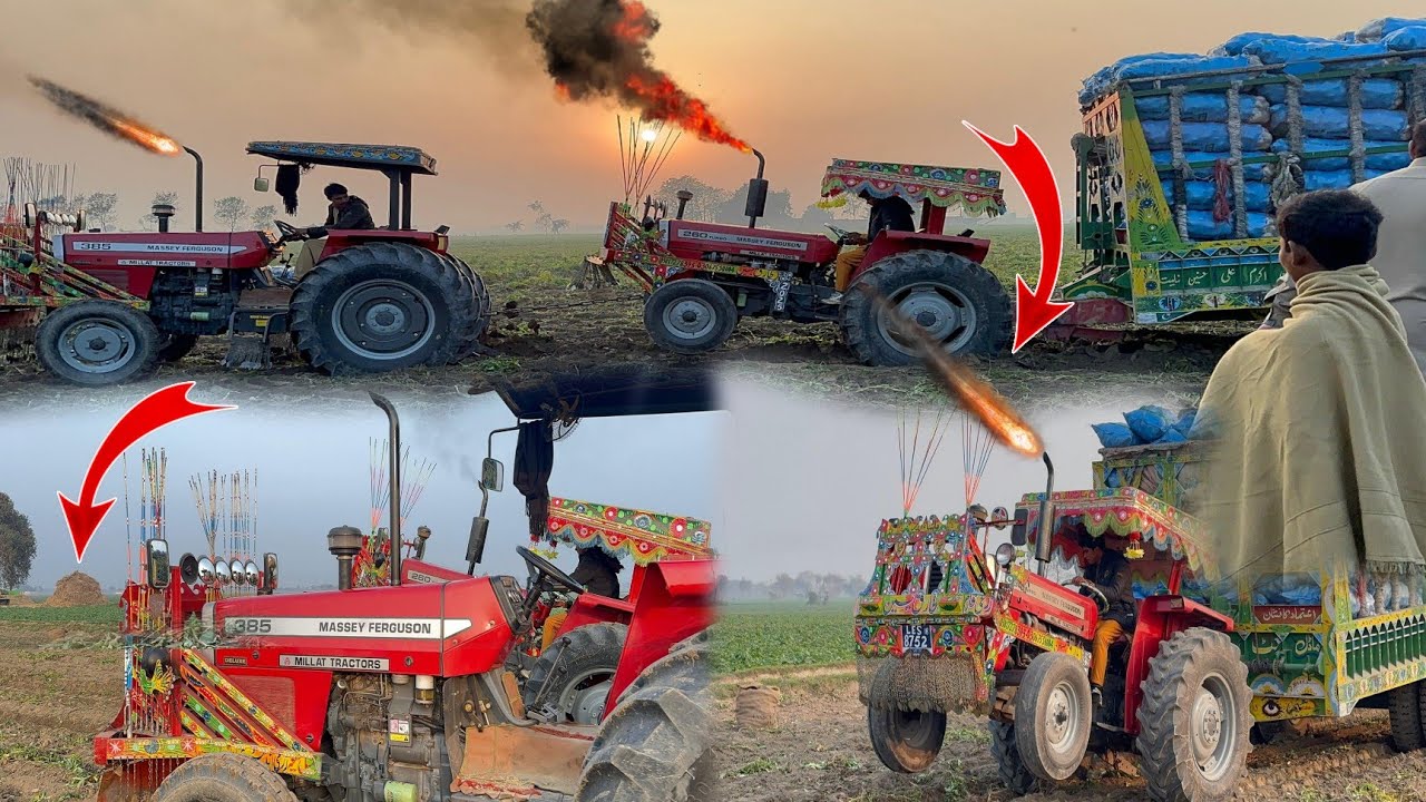 Millat Tractor 260 HP | 350 Thela Load Test | Power ka Real Imtihan 💪🚜