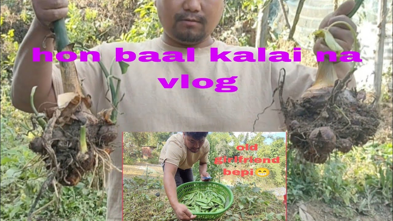 #vlog