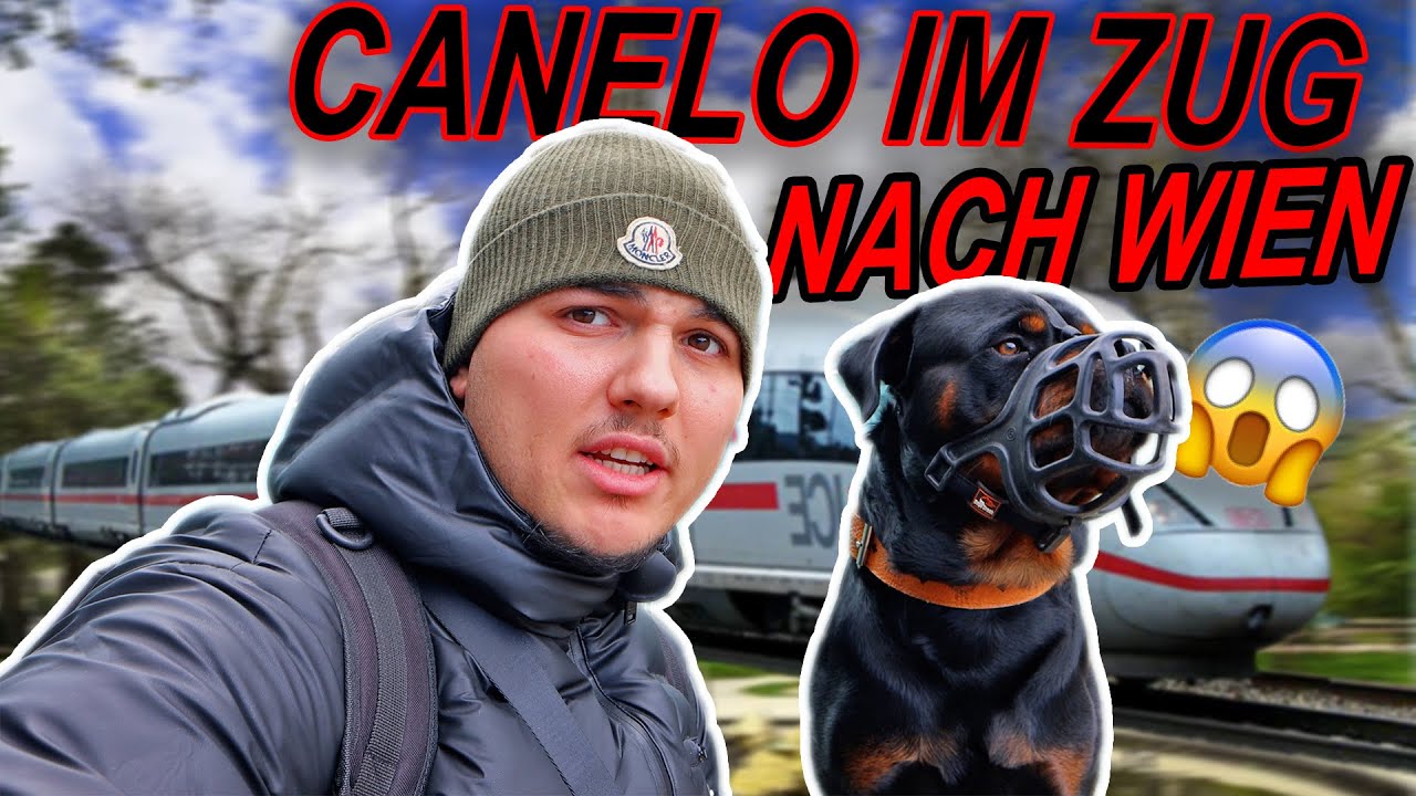 Canelo im Zug, wie reagieren die Gäste?😱🚂 (Vlog Wien🇦🇹)