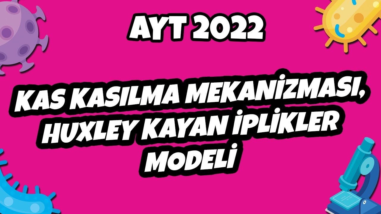 Kas Kasılma Mekanizması, Huxley Kayan İplikler Modeli | AYT Biyoloji 2022 #hedefekoş