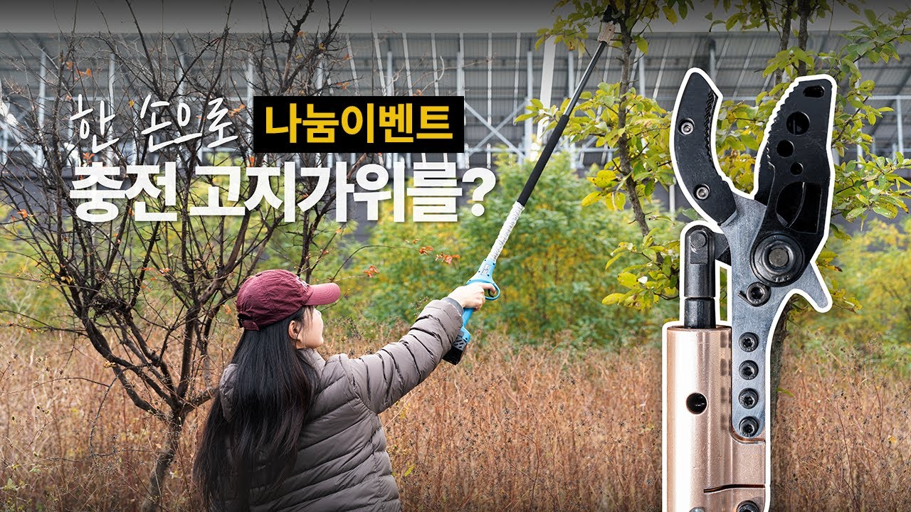 한손으로 고지가위 컨트롤 가능🤔 지금까지 이런 고지가위는 없었다❗️뛰어난 내구에 초경량 무게까지 겸비한 다히치 전동고지가위 #전지가위 #가지치기 #전동가위사용후기