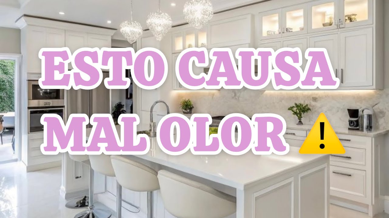 COMO TENER UN HOGAR SIN MALOS OLORES??✨+TIPS PARA ELIMINARLOS 