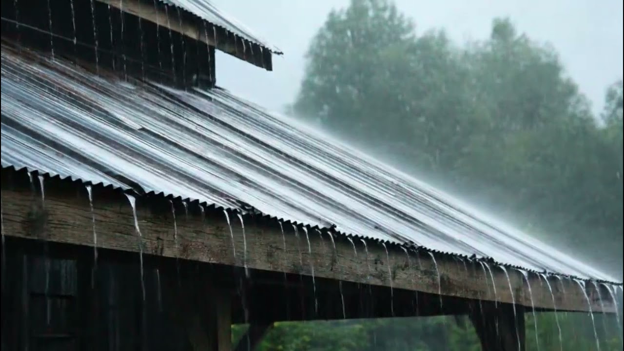 Calming Rain Sounds 🌧️ Tin Roof Thunderstorm for Better Sleep