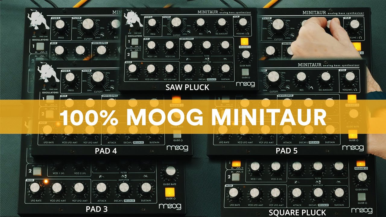 100% Moog Minitaur - Happy 2024!