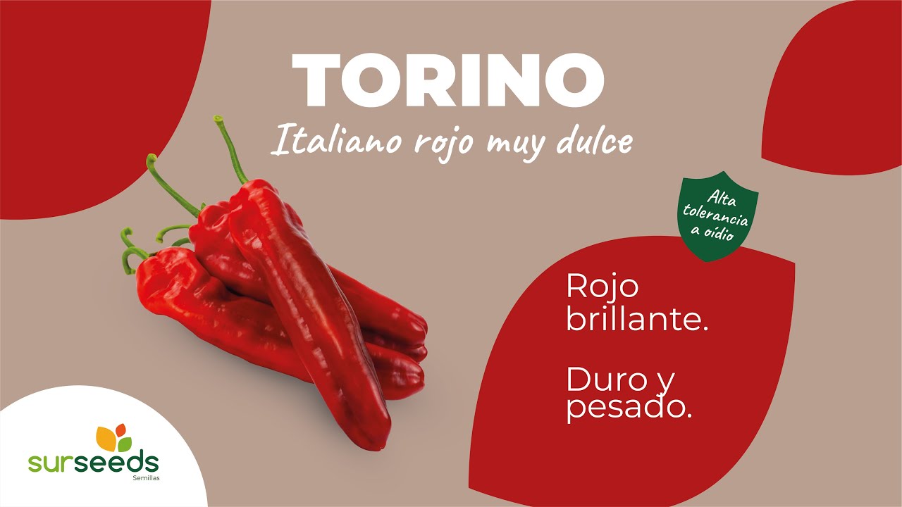 Torino, italiano rojo muy dulce