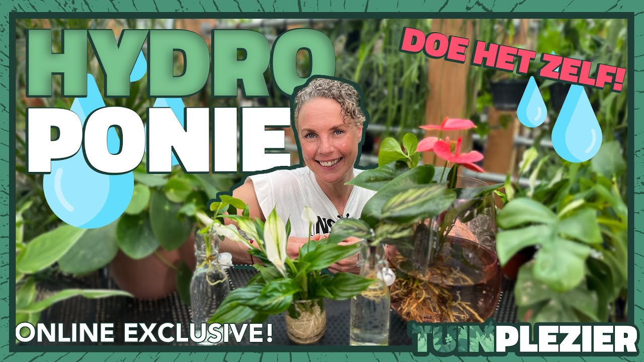 Hoe zet je een plant op water? 💦 | Hydroponie | Tuinplezier 🌱