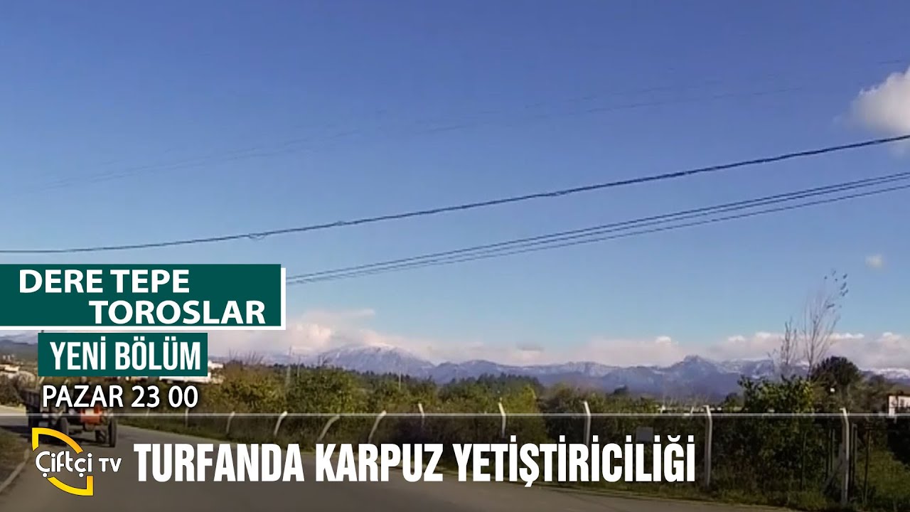 Turfanda Karpuz Yetiştriciliği - DERE TEPE TOROSLAR #çiftçi #karpuz #tarım