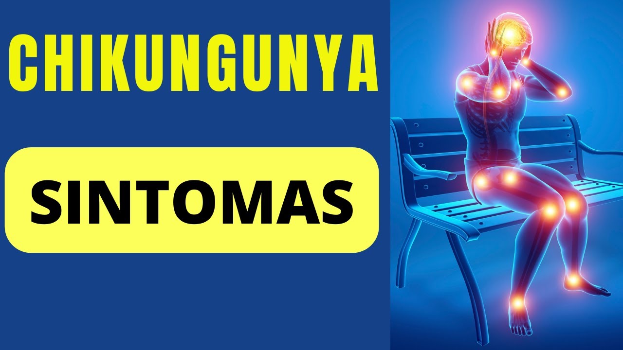 Quais S&atilde;o os SINTOMAS da CHIKUNGUNYA?