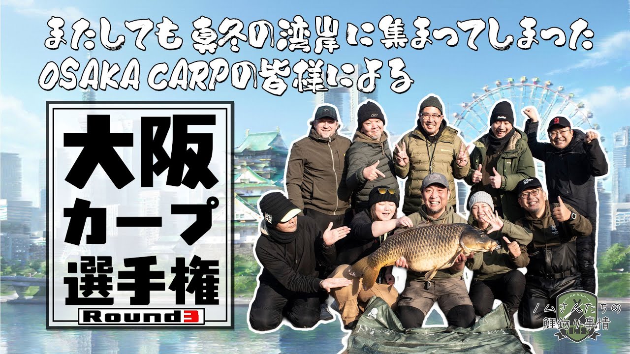 【鯉釣り大会】 大阪カープ選手権 Round3 【今年も湾岸です】#carpfishing #カープフィッシング #鯉釣り #大阪カープ