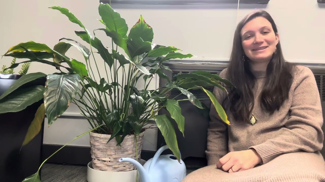 Finding hope and resilience in plants on Tu Bishvat