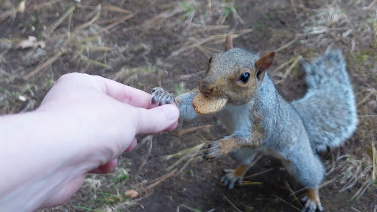 This squirrel's reaction really touched my heart