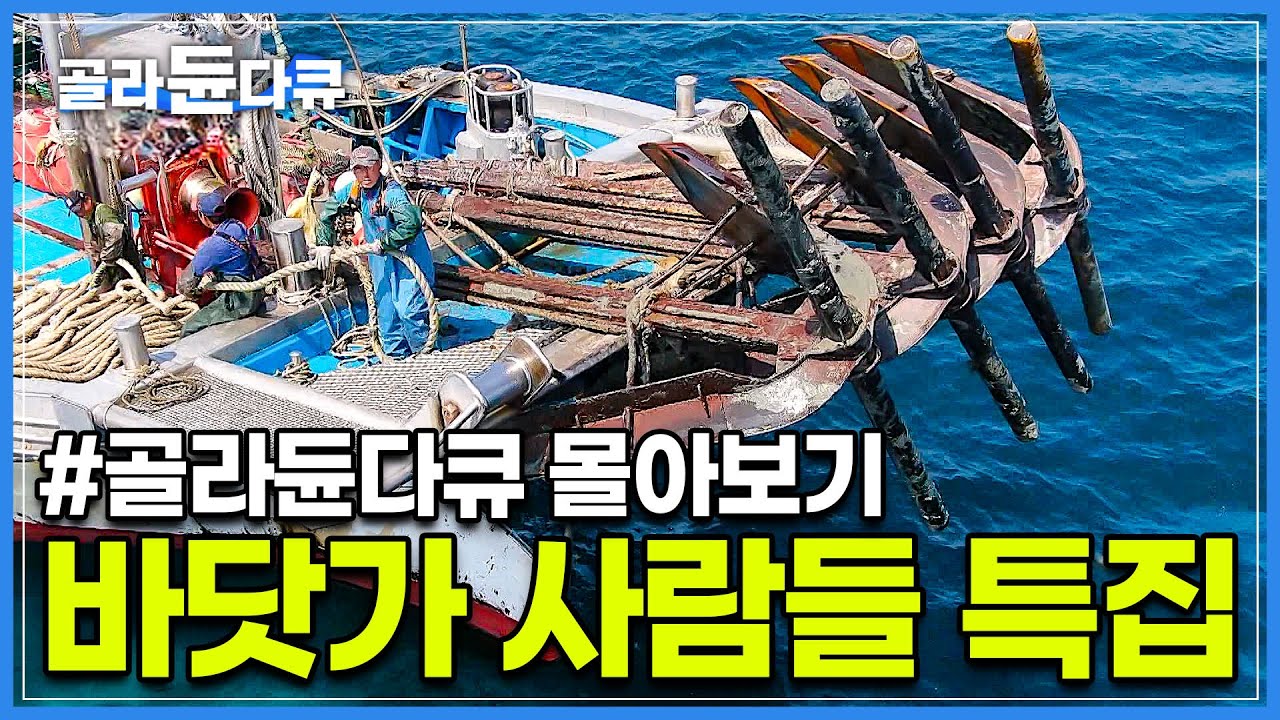 🏅꾼들만 모았다!✨줄기차게 올라오는 바다 해산물의 향연~ 역전의 바다! 어부들의 파란만장 항해기┃갈치잡이 / 꽃게잡이 / 가자미잡이┃만선 특집┃바닷가 사람들 몰아보기┃#골라듄다큐