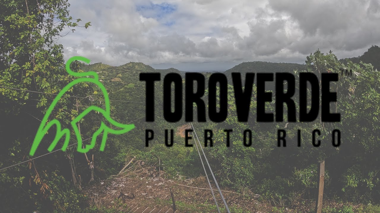 Toro Verde Puerto Rico | Zipline Course