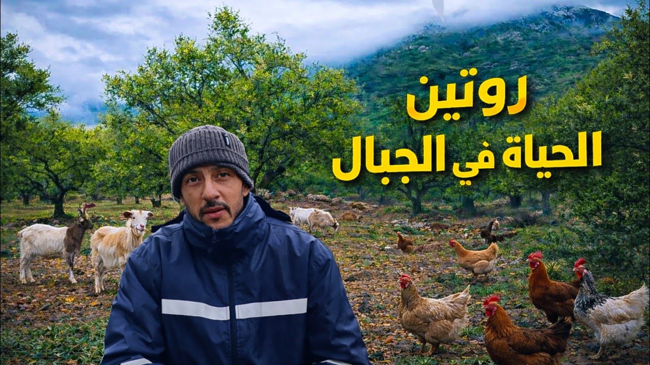 الحياة الجبلية في ظل الأمطار الغزيرة | إطعام الدجاج والماعز + مشاهدة الجداول الفيضانية